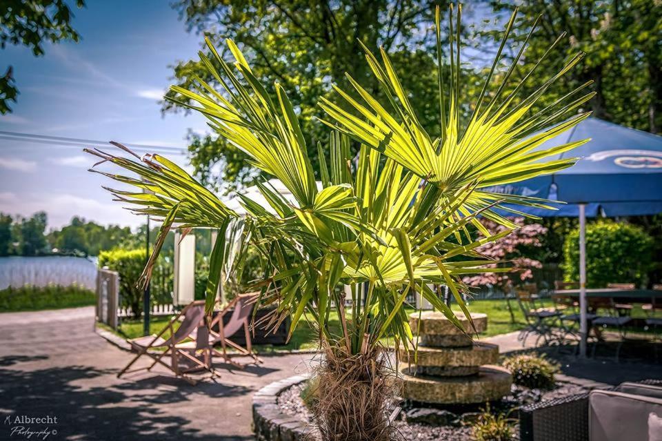 Sopherl Am See - Fruehstueck Auf Der Seeterrasse, Sehr Ruhig Und Wunderschoen Am See, 3 Minuten Nach Oberpfaffenhofen, Viele Radtouren, Restaurants & Cafes In Der Umgebung Weßling エクステリア 写真
